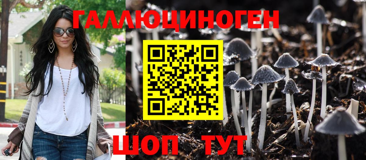 Добрянка  Псилоцибиновые грибы Magic Shrooms  Вход с VPN 